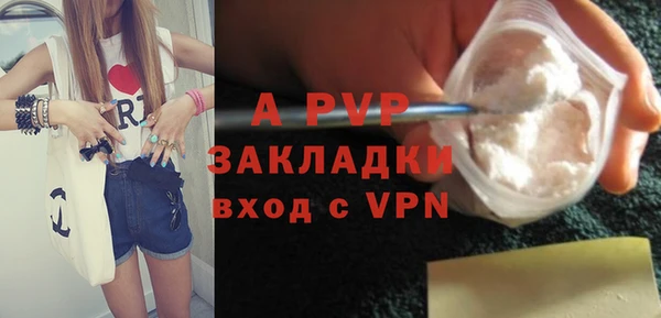 шишки Алексин