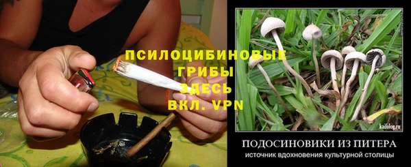 шишки Алексин