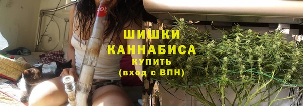шишки Алексин
