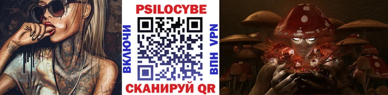 купить наркотик  Медынь  Галлюциногенные грибы Psilocybine cubensis 